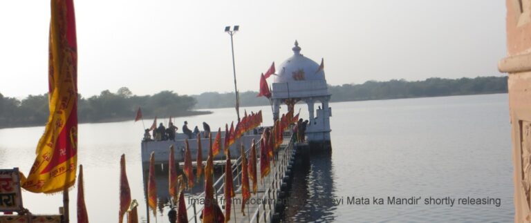 77000781_2661191393971540_6988331026644729856_n